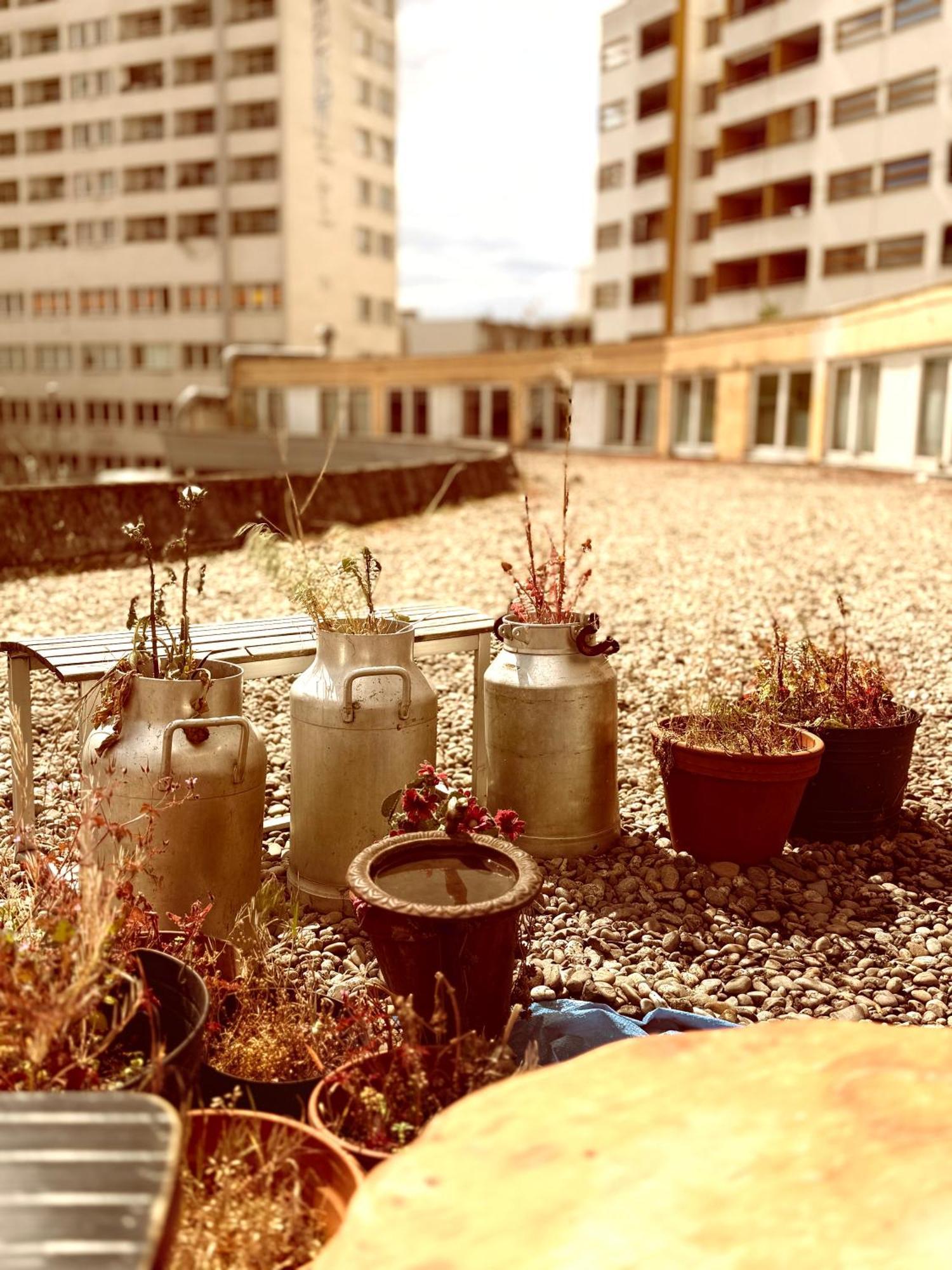 Comebackpackers Berlin Eksteriør bilde